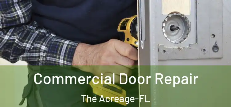  Commercial Door Repair The Acreage-FL