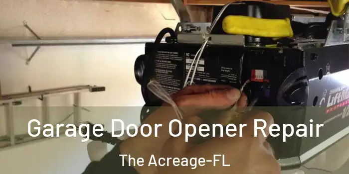  Garage Door Opener Repair The Acreage-FL