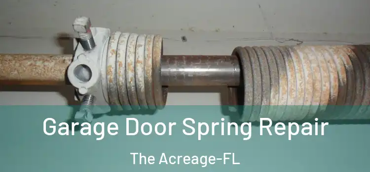  Garage Door Spring Repair The Acreage-FL