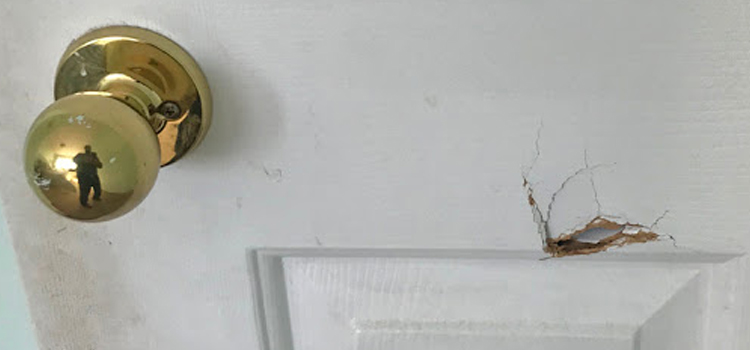 interior door hole repair The Acreage