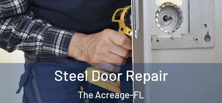  Steel Door Repair The Acreage-FL